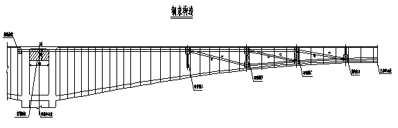 某大跨徑預應力混凝土連續(xù)剛構橋的加固設計 
